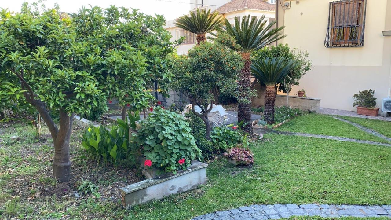 Villa Relax On The Sea Pizzo  Exterior foto